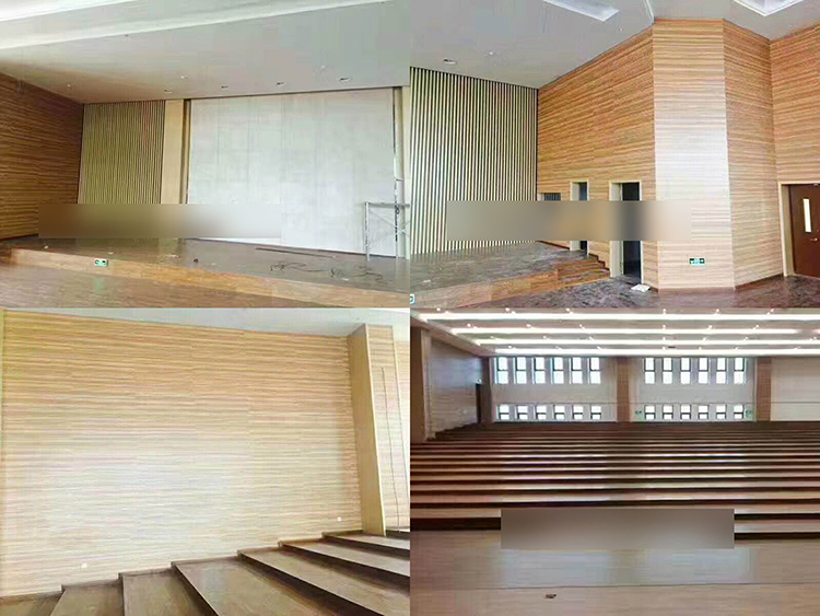 浙江杭州學(xué)院報告廳吸音工程 浙江杭州學(xué)院報告廳吸音工程